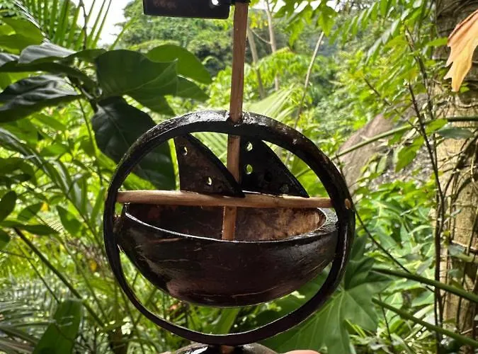 Forest View Seychelles Appartement *