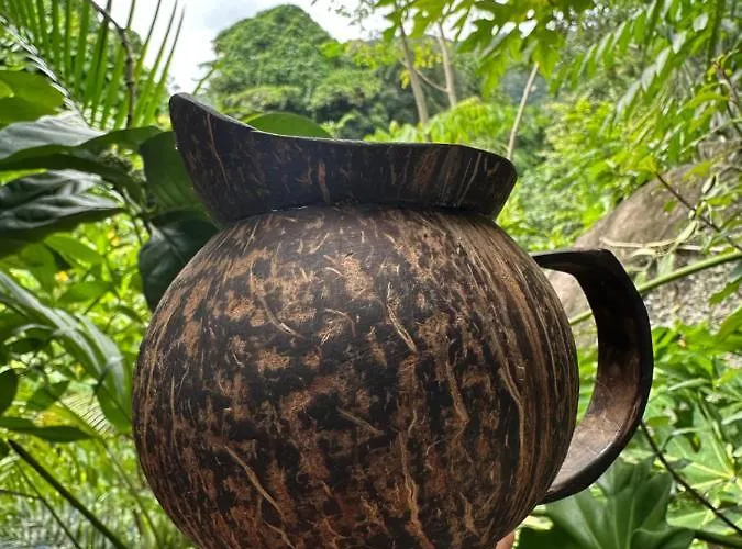 Forest View Seychelles