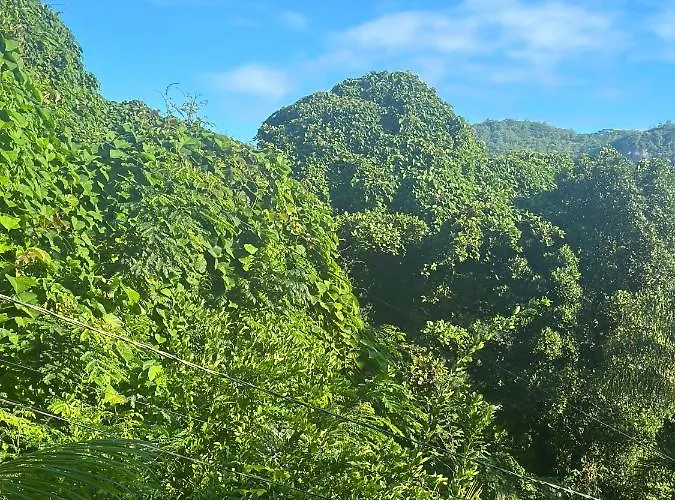 Forest View Seychelles Appartement Anse Etoile