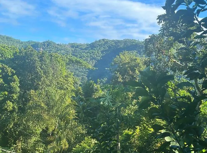 Forest View Seychelles Appartement