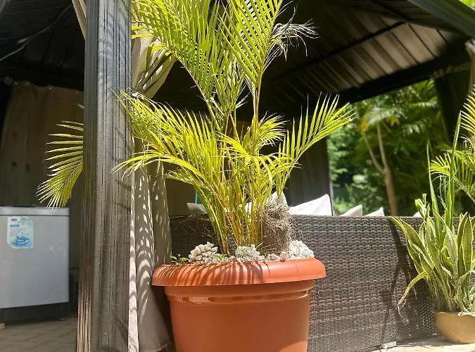 Appartement Forest View Seychelles