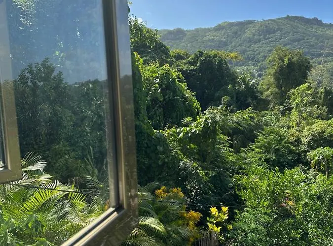 Forest View Seychelles Appartement